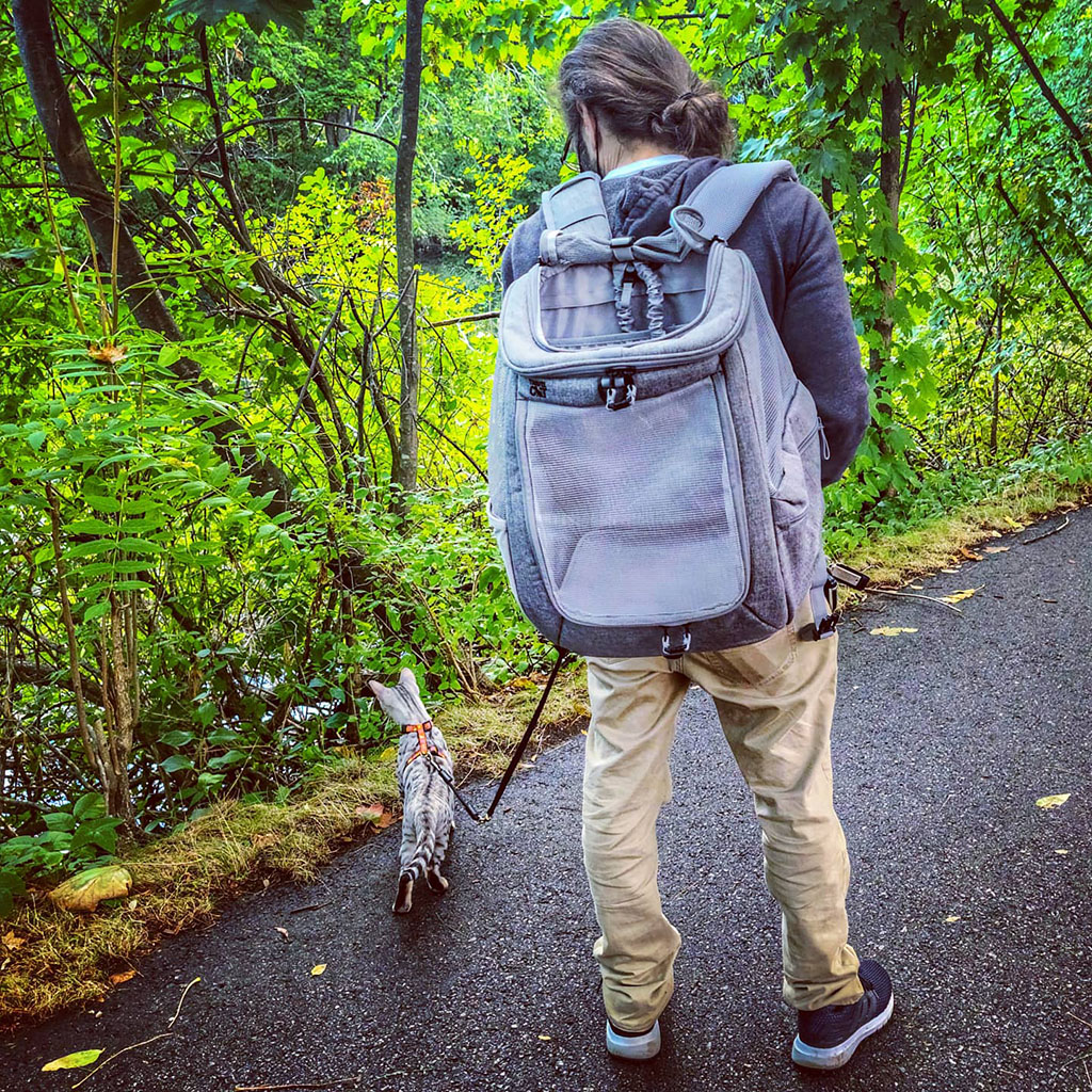 The Navigator Cat Backpack By Travel Cat Review - Yogi The Bengal
