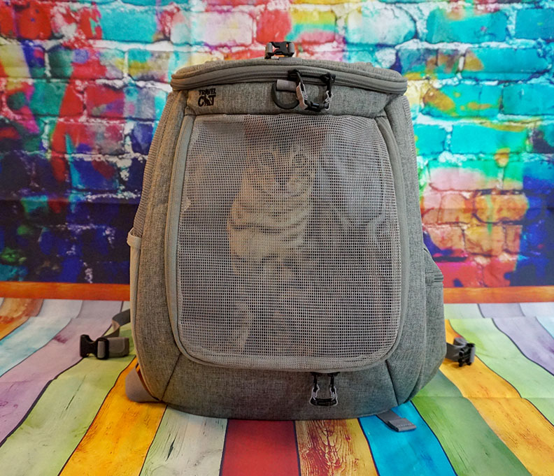 Yogi the Bengal endorsed gear The Navigator Cat Backpack