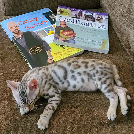 jackson galaxy books are great